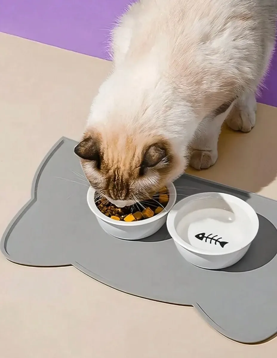 Pet Feeding Mat Silicone