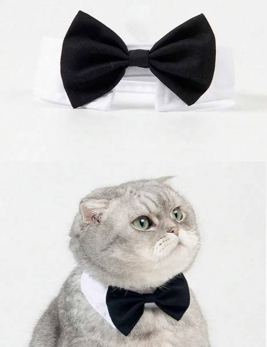 Pet Bowtie & Necktie